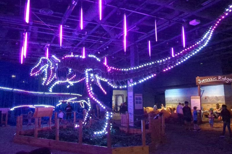 Dinos In Lights Festive Holiday Show at Orlando Science Center -T-Rex skeleton outlined in purple holiday lights