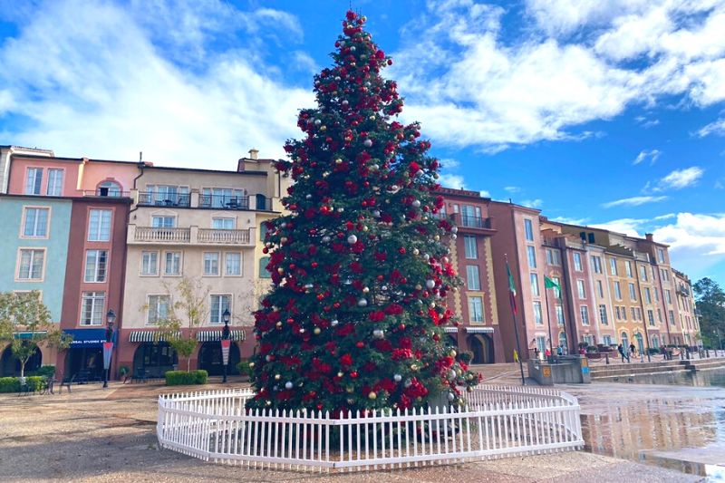 Live Christmas Tree at Loews Portofino Bay Hotel - Dani Meyering