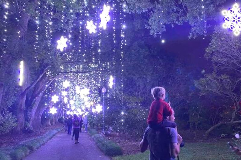 Snowflake lights at Dazzling Nights at Leu Gardens