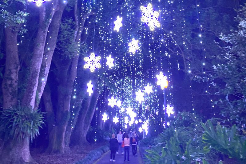 Snowflake Lights at Dazzling Nights at Leu Gardens 2022