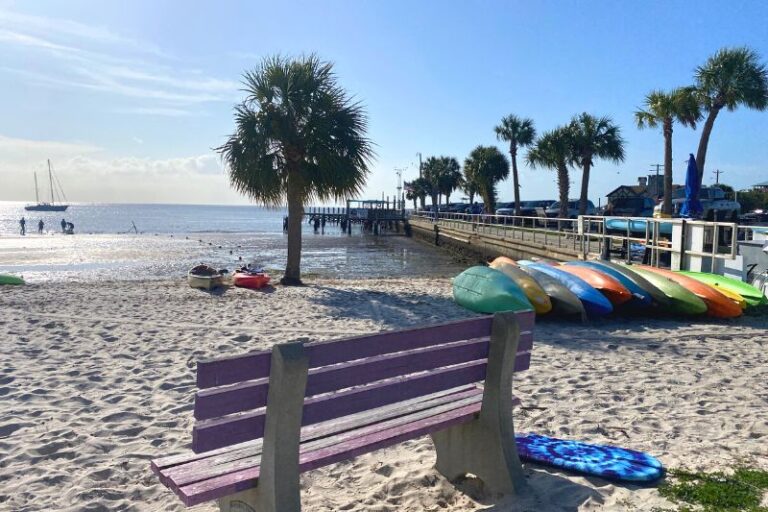 Relax and Explore Cedar Key Beaches for a Day Trip or Getaway