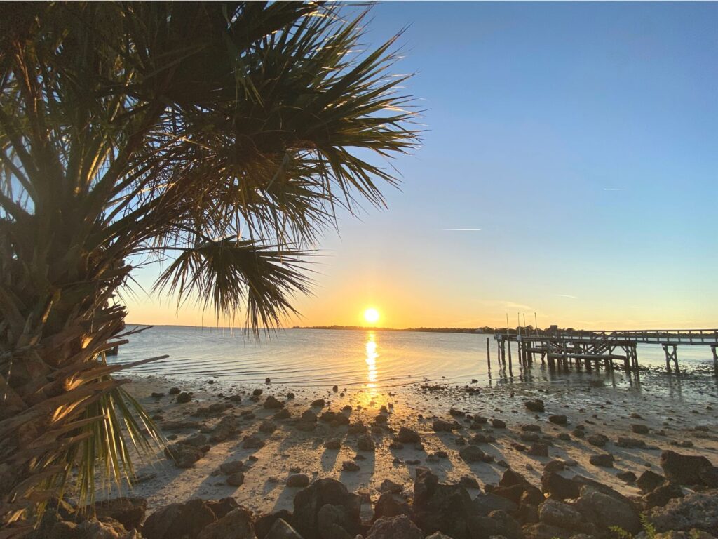 G Street Beach in Cedar Key at Sunset with rocks, palm tree, and dock