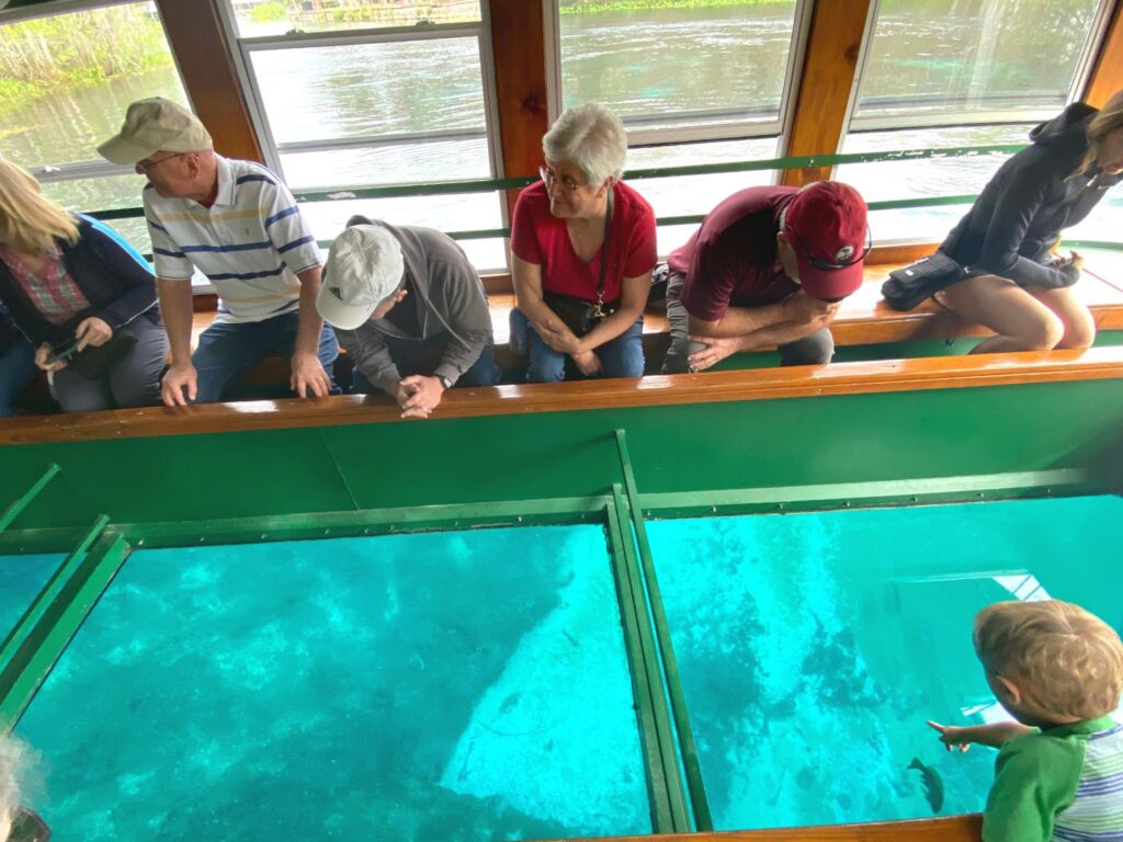 Viewing fish and plant life on the Glass Bottom Boat at Silver Springs Near Orlando 