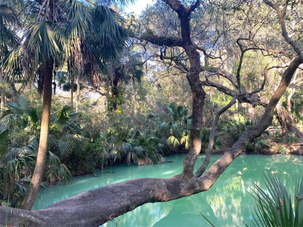 Green Springs Florida