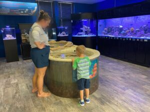 15 AWESOME Things to do in New Smyrna Beach (Besides the Beach