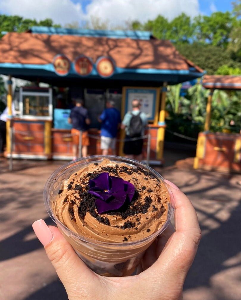 Plant-Based Chocolate Dessert from The Land Cart hosted by AdventHealth
