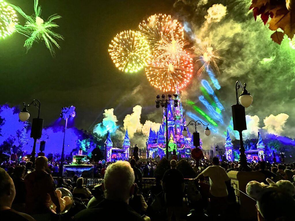 Crowds During Disney's Not-So-Spooky Spectacular Fireworks at Mickey's Not-So-Scary Halloween Party 