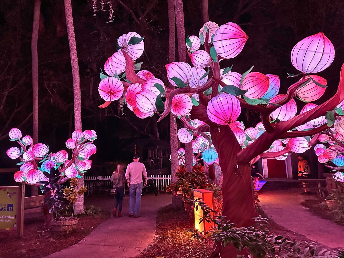 https://www.orlandodatenightguide.com/wp-content/uploads/2023/11/Tree-Lanterns-at-2023-Asian-Lantern-Festival-Central-Florida-Zoo-image-by-Dani-Meyering.jpg