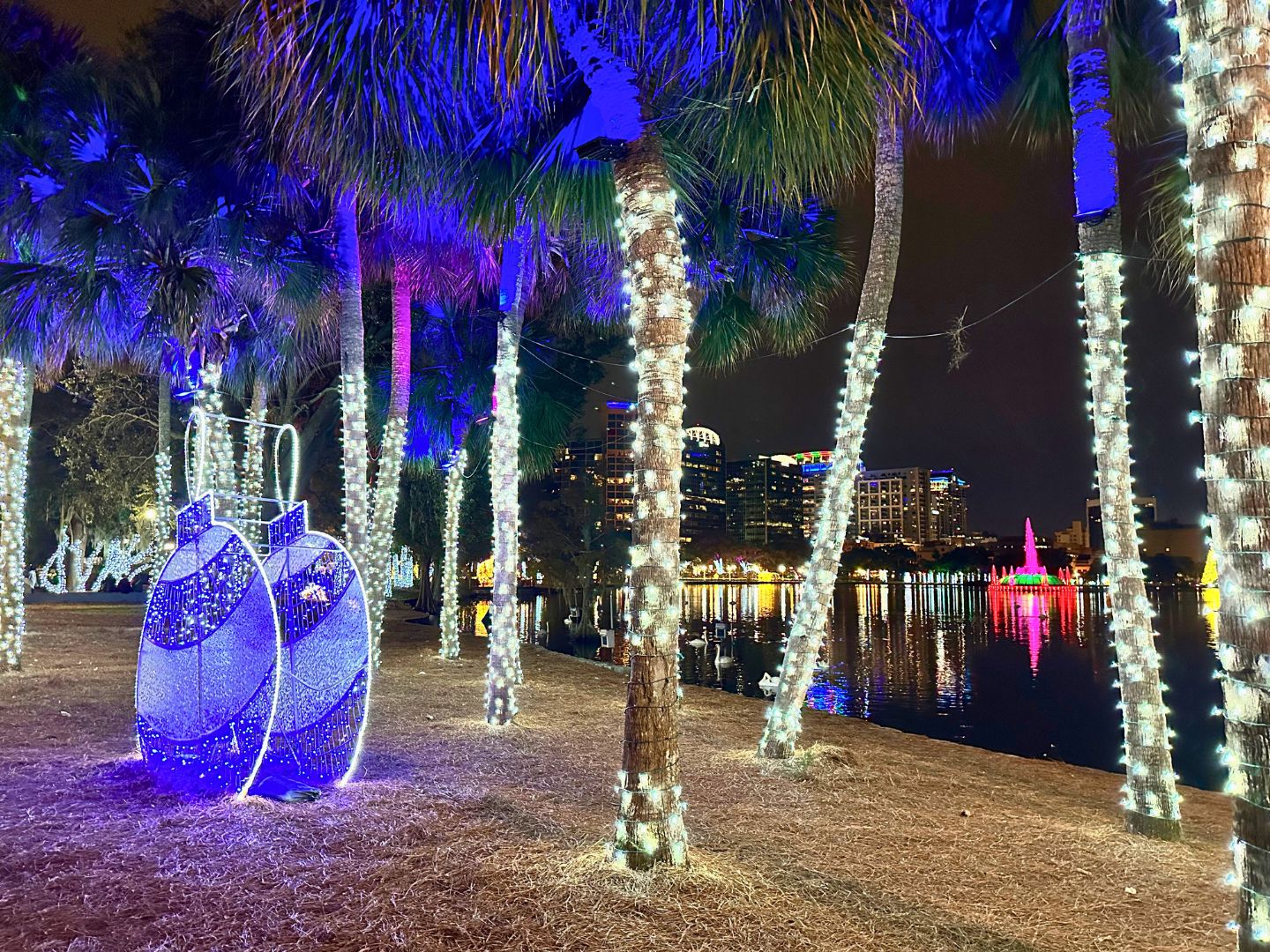 Where to Find Orlando's Best Holiday and Christmas Lights 2024